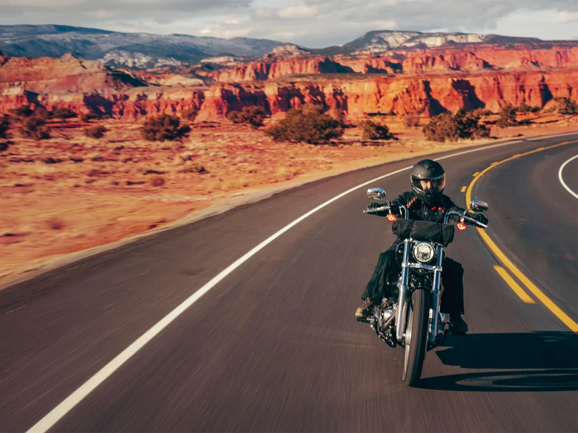 2024 Harley-Davidson Softail® Standard in Salt Lake City, Utah - Photo 9