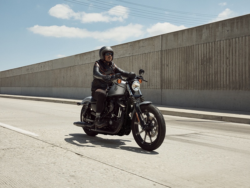 2020 Harley-Davidson Iron 883™ in Salt Lake City, Utah - Photo 10