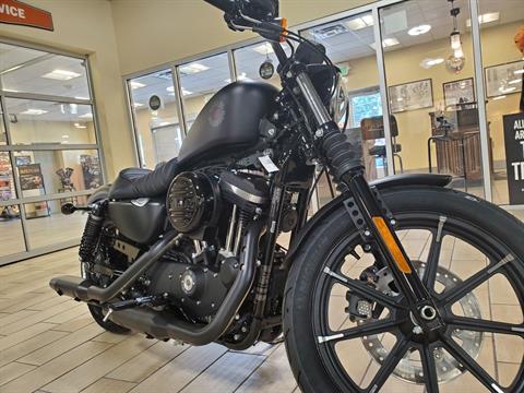 2022 Harley-Davidson Iron 883™ in Riverdale, Utah - Photo 2