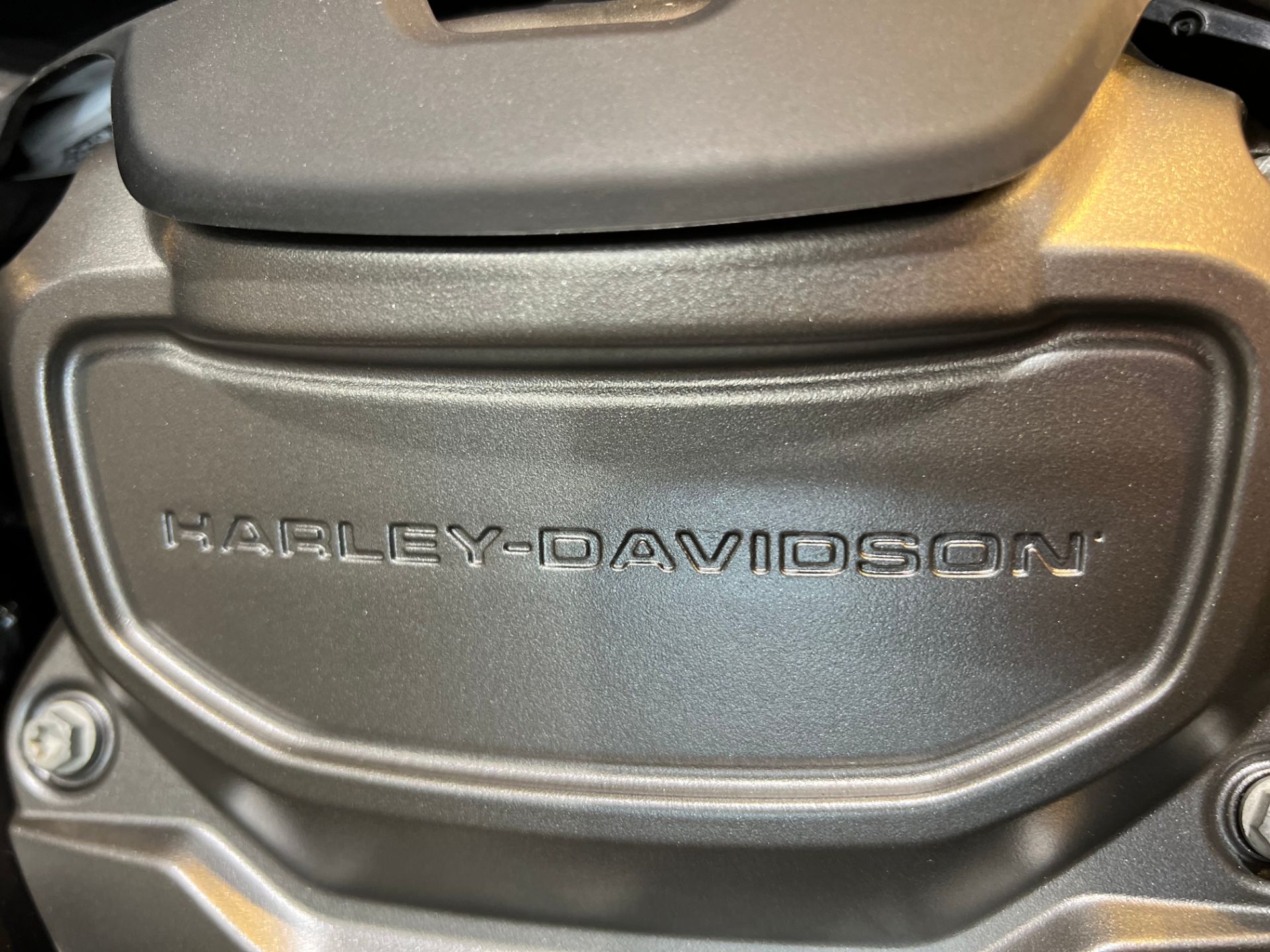 2023 Harley-Davidson Nightster™ in Logan, Utah - Photo 6