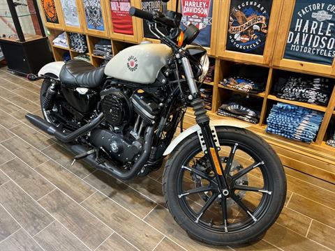 2022 Harley-Davidson Iron 883™ in Logan, Utah - Photo 4