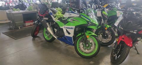 2024 Kawasaki Ninja 500 SE 40th Anniversary Edition ABS in Vallejo, California - Photo 1