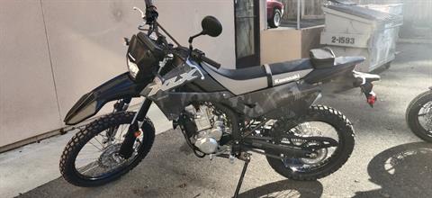 2024 Kawasaki KLX 300 in Vallejo, California - Photo 1