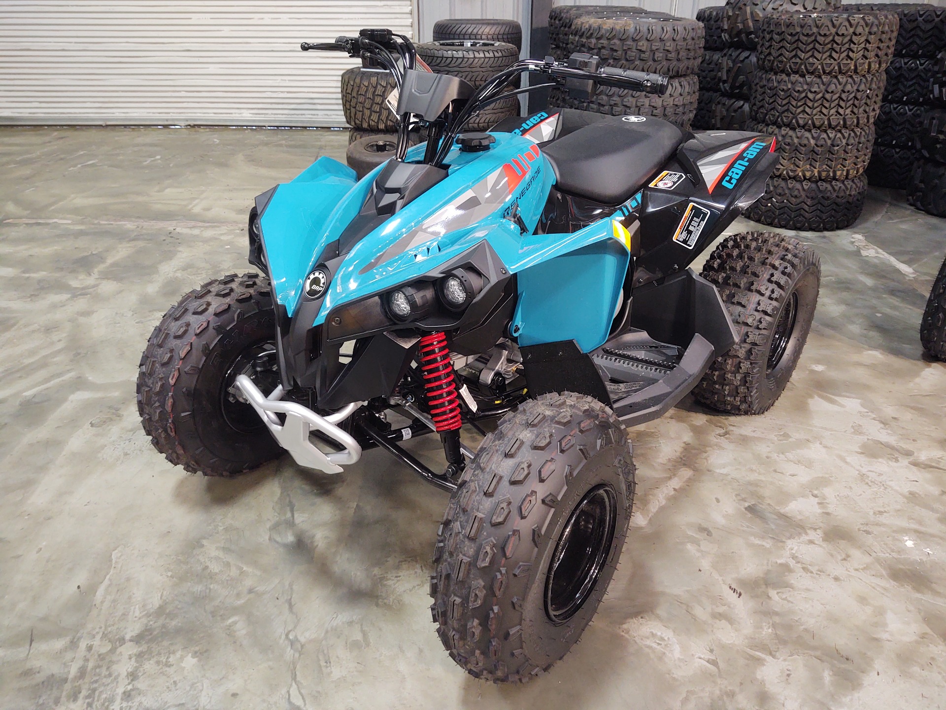 2024 Can-Am Renegade 110 EFI in Douglas, Georgia - Photo 2