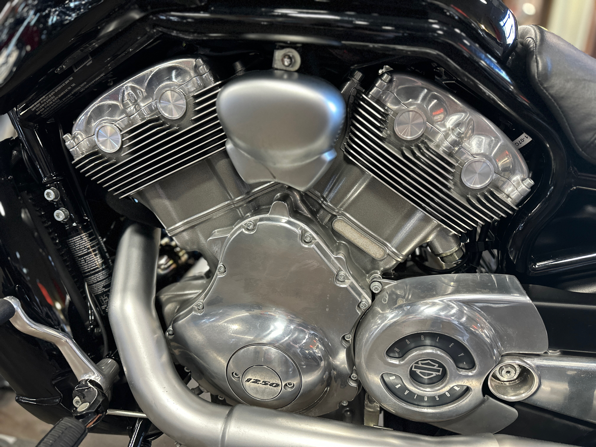2015 Harley-Davidson V-Rod Muscle® in San Jose, California - Photo 10