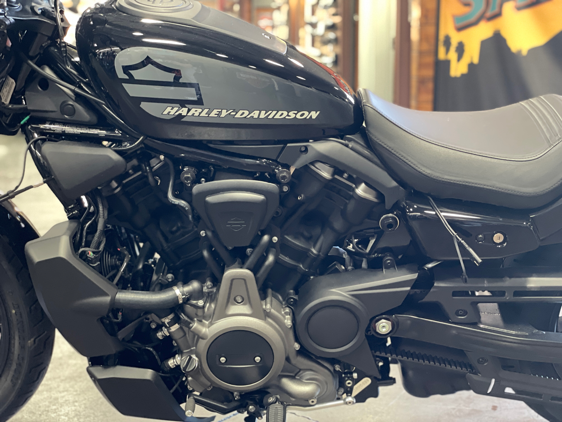 2022 Harley-Davidson Nightster™ in San Jose, California - Photo 9
