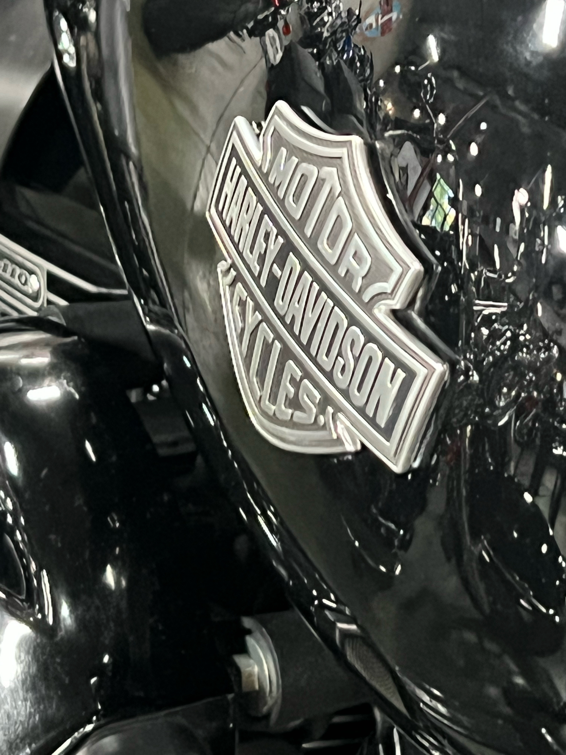 2016 Harley-Davidson Softail Slim® S in San Jose, California - Photo 2
