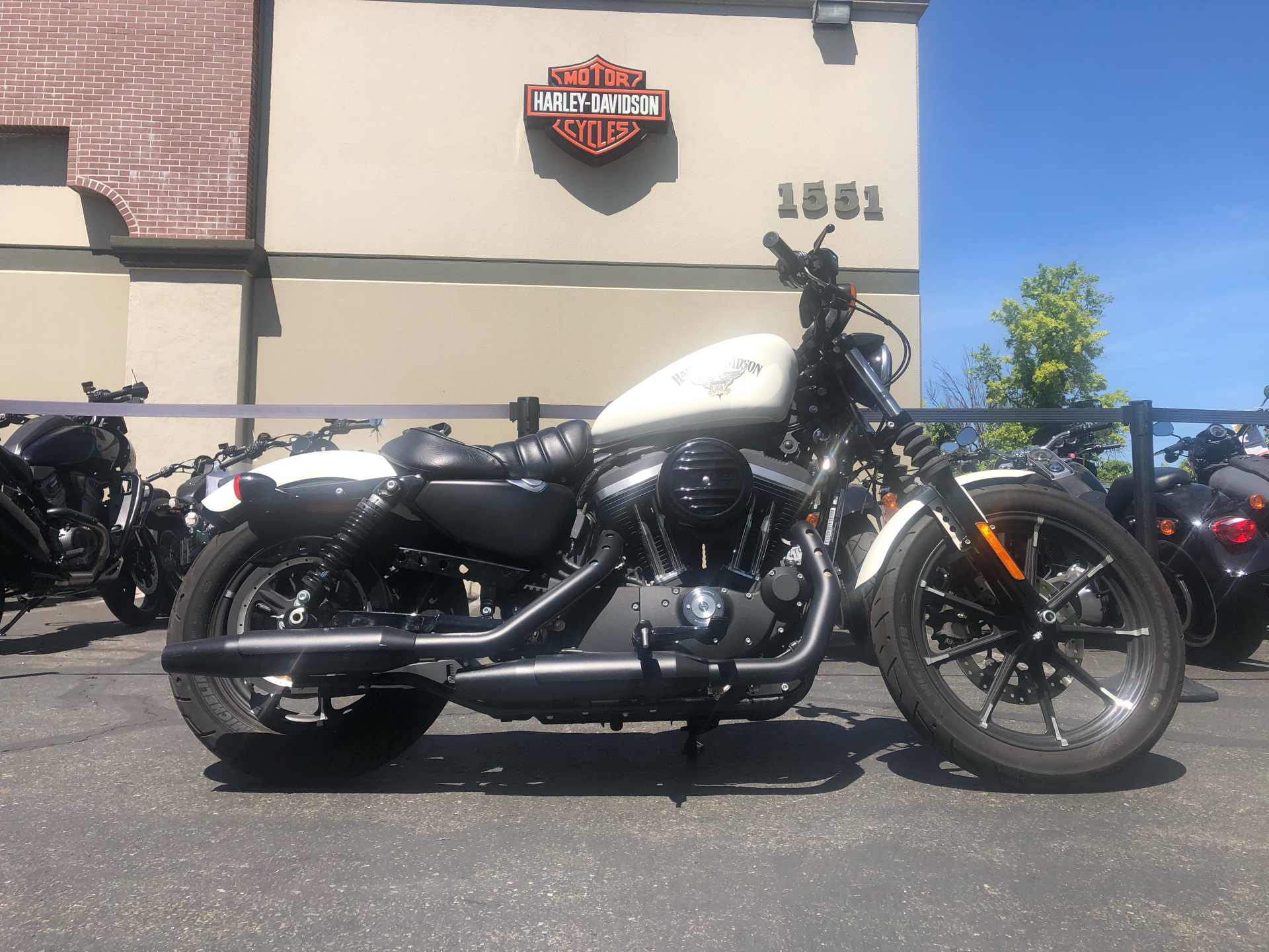 2018 Harley-Davidson Iron 883™ in San Jose, California - Photo 1