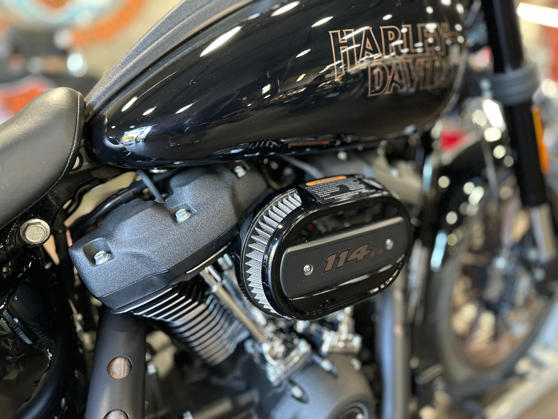 2021 Harley-Davidson Low Rider®S in San Jose, California - Photo 5