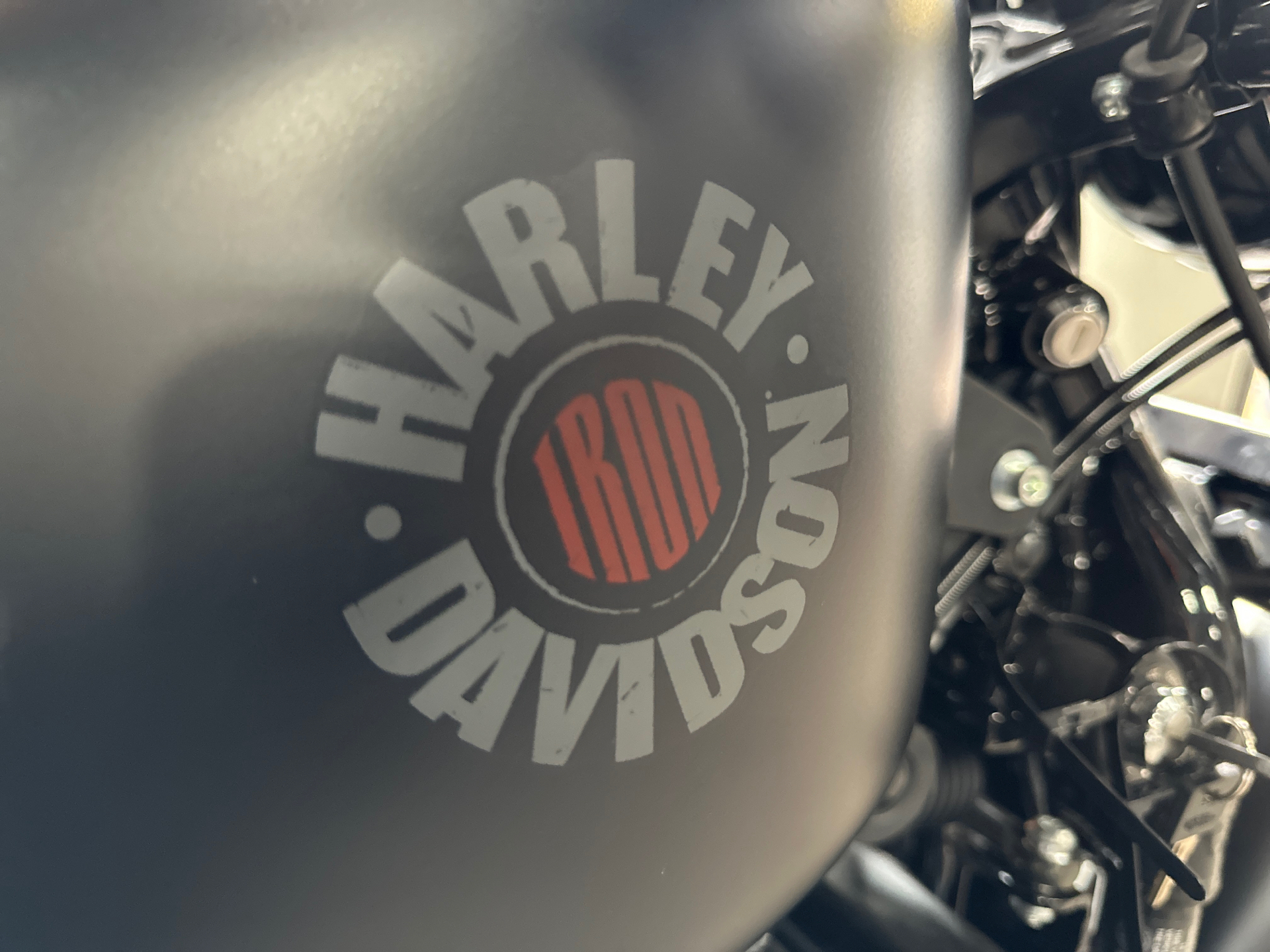 2022 Harley-Davidson Iron 883™ in San Jose, California - Photo 7