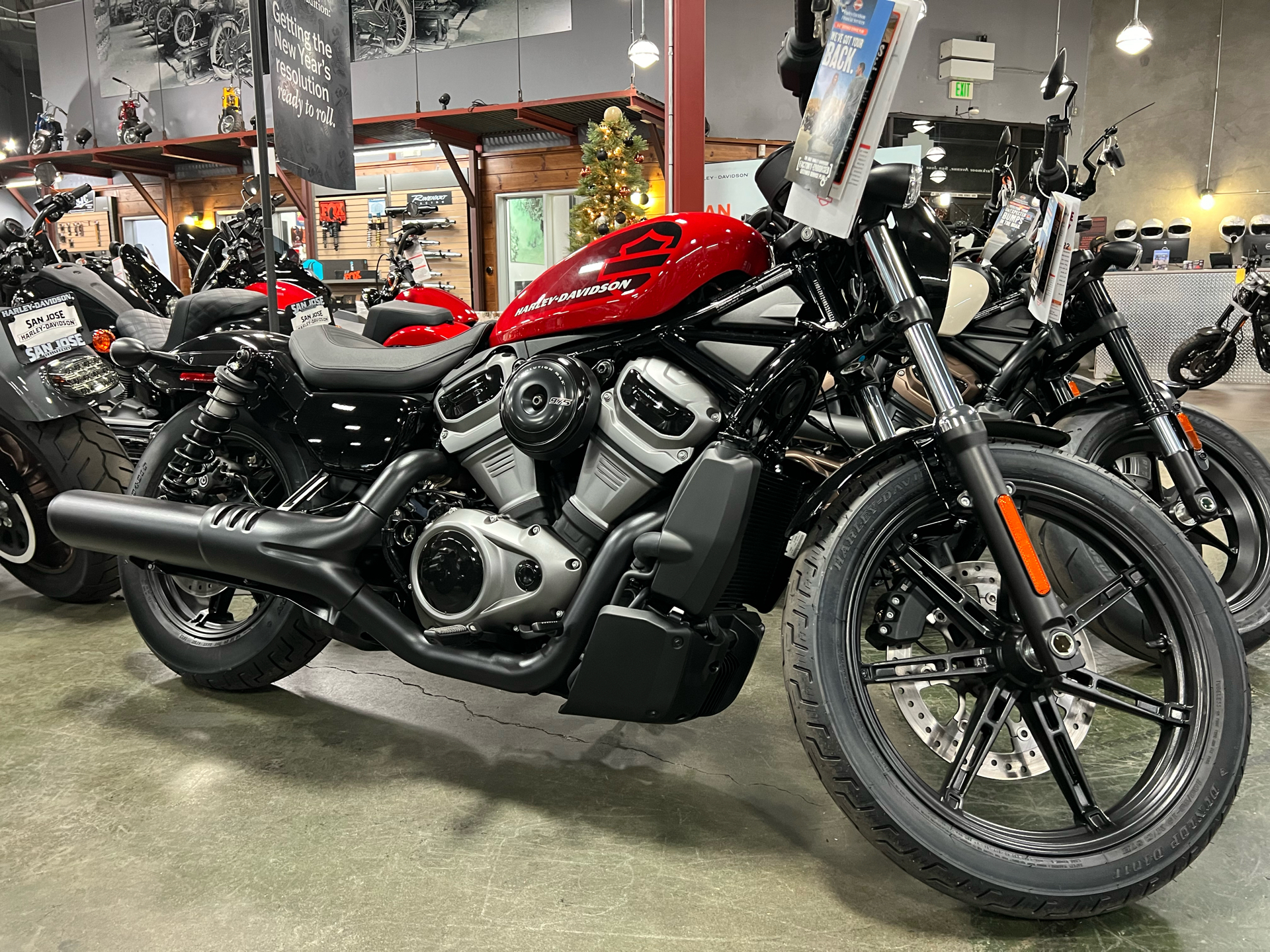 2022 Harley-Davidson Nightster™ in San Jose, California - Photo 1