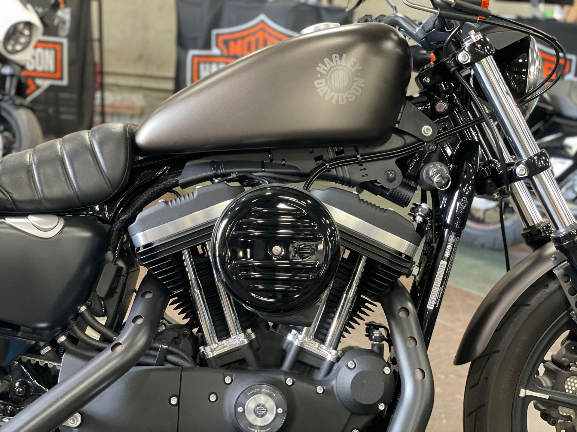 2021 Harley-Davidson Iron 883™ in San Jose, California - Photo 2