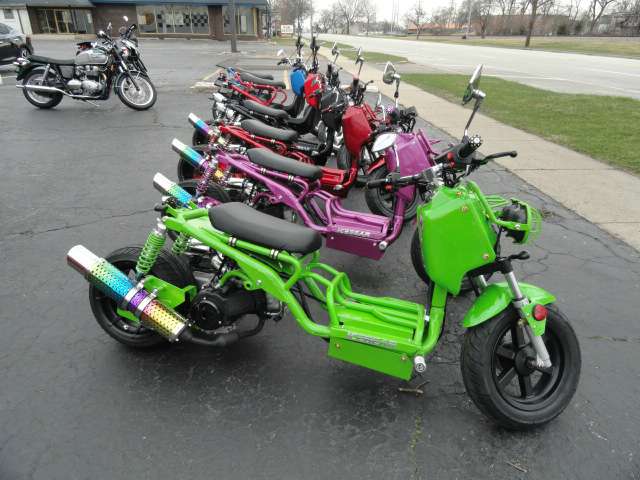 New 2016 Dazon MAD DOG 150CC Scooters in Arlington Heights, IL | Stock