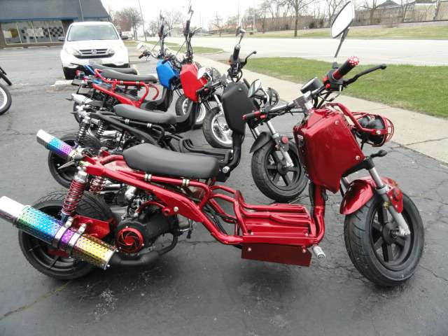 New 2016 Dazon MAD DOG 150CC Scooters in Arlington Heights, IL | Stock