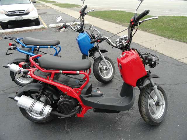 New 2016 Dazon MAD DOG 150CC Scooters in Arlington Heights, IL | Stock