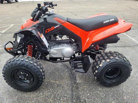2023 Can-Am DS 250 in Barrington, New Hampshire - Photo 3