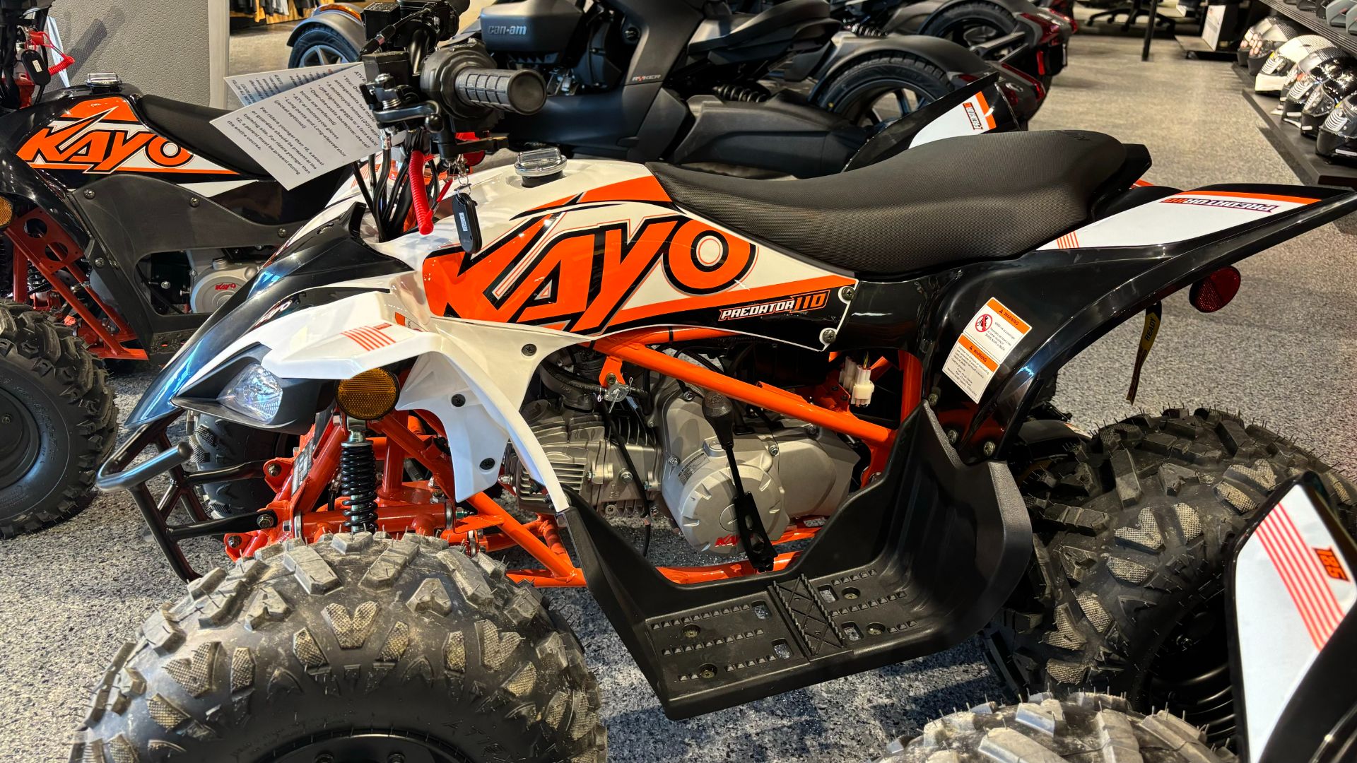 2024 Kayo Predator 110 in Barrington, New Hampshire - Photo 1