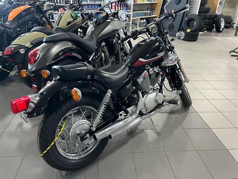 2024 Yamaha V Star 250 in Lafayette, Louisiana - Photo 3