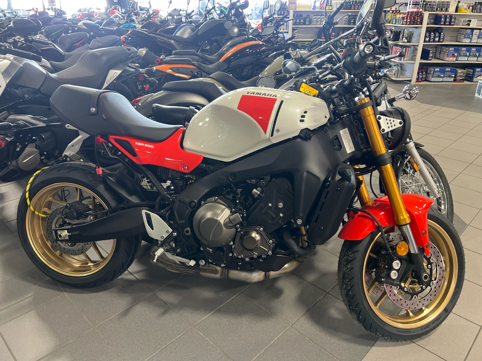 2024 Yamaha XSR900 in Lafayette, Louisiana - Photo 1