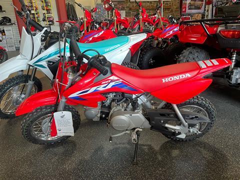 2024 Honda CRF50F in Lafayette, Louisiana - Photo 1