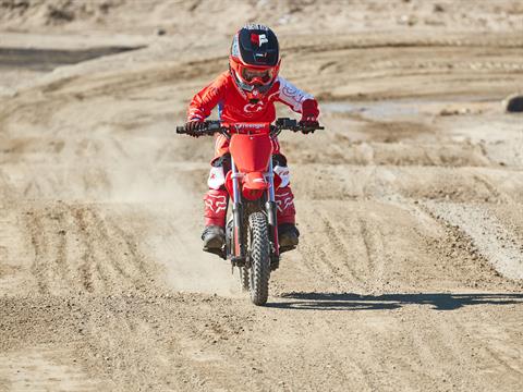 2021 Greenger Powersports CRF E-2 in Madera, California - Photo 8