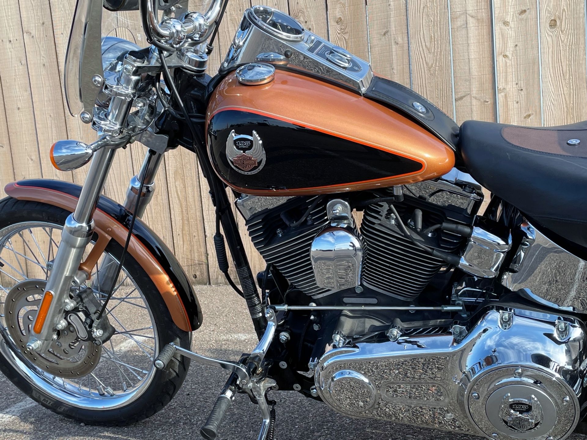 2008 Harley-Davidson Softail® Custom in Dodge City, Kansas - Photo 9