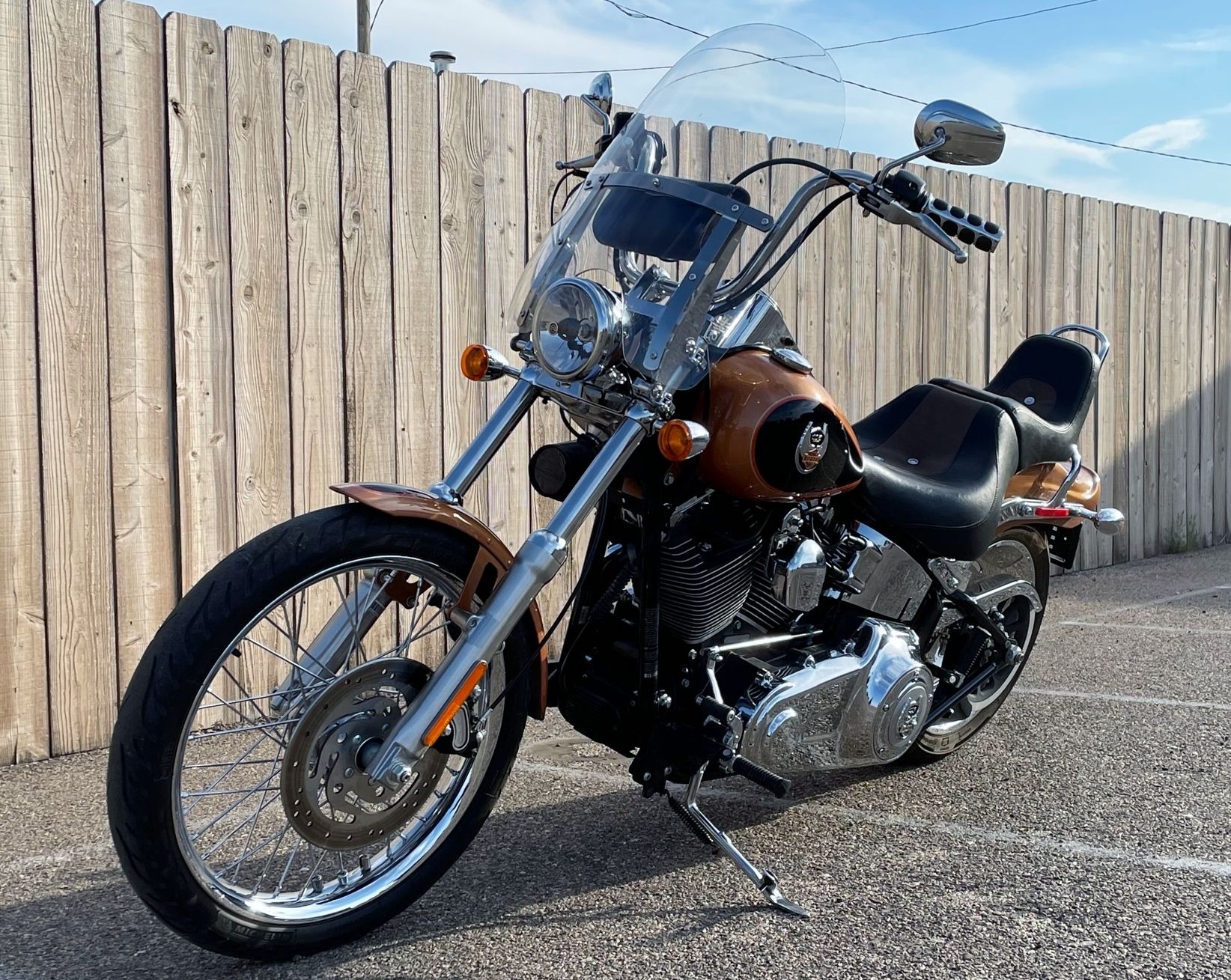 2008 Harley-Davidson Softail® Custom in Dodge City, Kansas - Photo 7