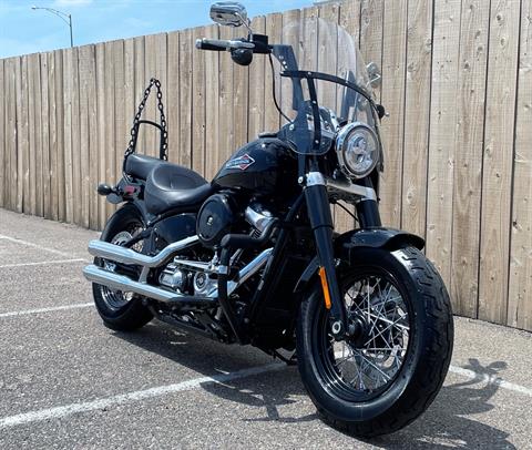 2019 Harley-Davidson Softail Slim® in Dodge City, Kansas - Photo 2