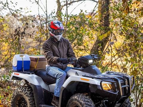 2024 Honda FourTrax Rubicon 4x4 Automatic in Columbia, South Carolina - Photo 17