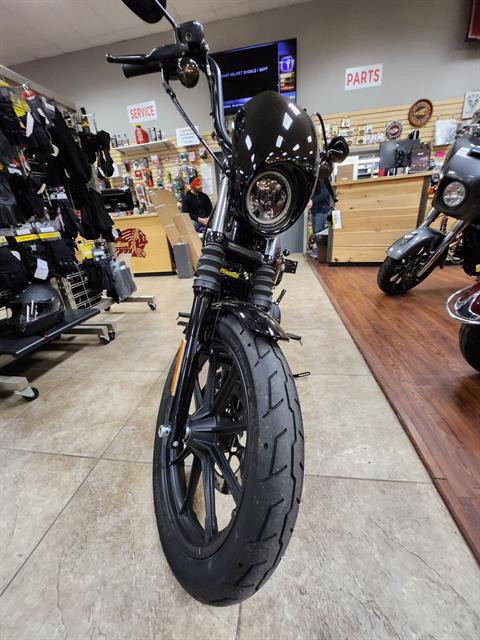 2021 Harley-Davidson Iron 1200™ in Mineola, New York - Photo 2