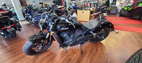 2022 Indian Motorcycle Scout® Sixty ABS in Mineola, New York - Photo 2