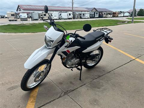 2024 Honda XR150L in Ottumwa, Iowa - Photo 5