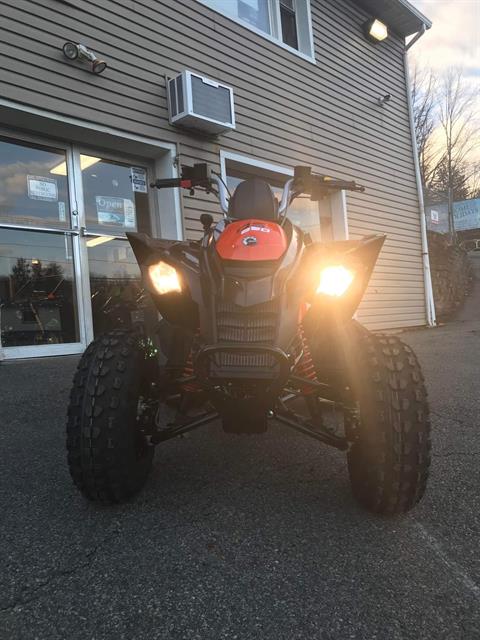 2023 Can-Am DS 250 in Ledgewood, New Jersey - Photo 3