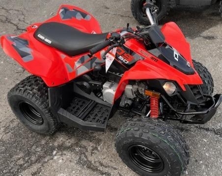 2022 Can-Am DS 70 in Ledgewood, New Jersey - Photo 3