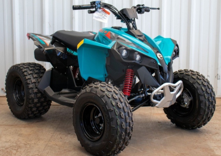 2023 Can-Am Renegade 110 EFI in Ledgewood, New Jersey - Photo 1