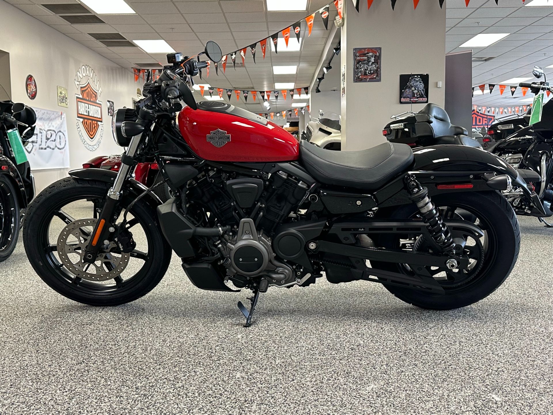 2023 Harley-Davidson Nightster® in Knoxville, Tennessee - Photo 10