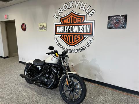 2022 Harley-Davidson IRON 883 in Knoxville, Tennessee - Photo 3
