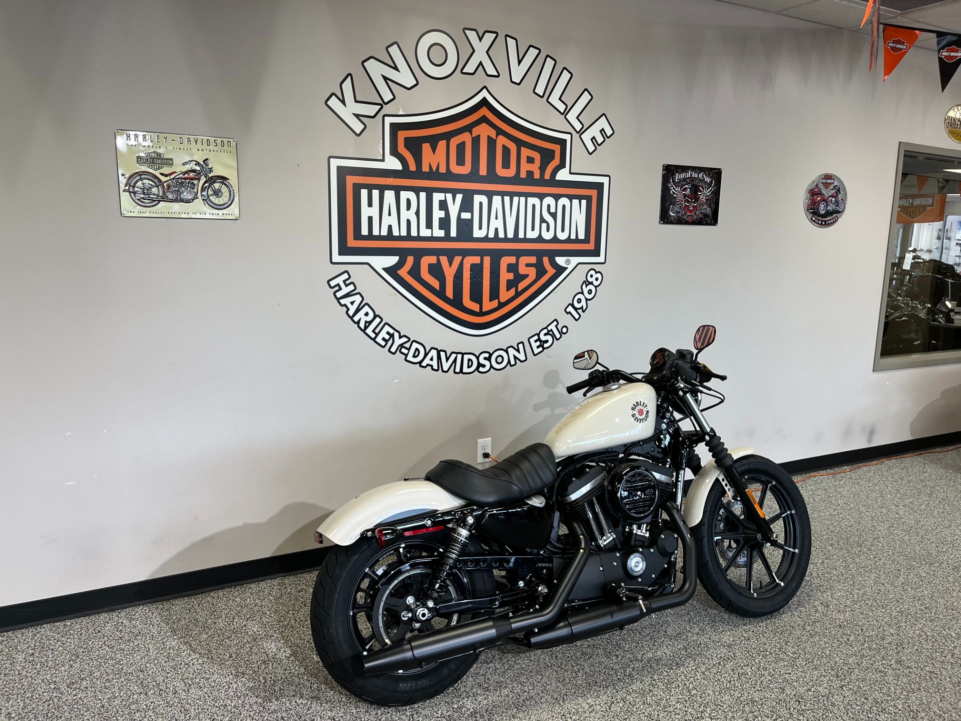2022 Harley-Davidson IRON 883 in Knoxville, Tennessee - Photo 4
