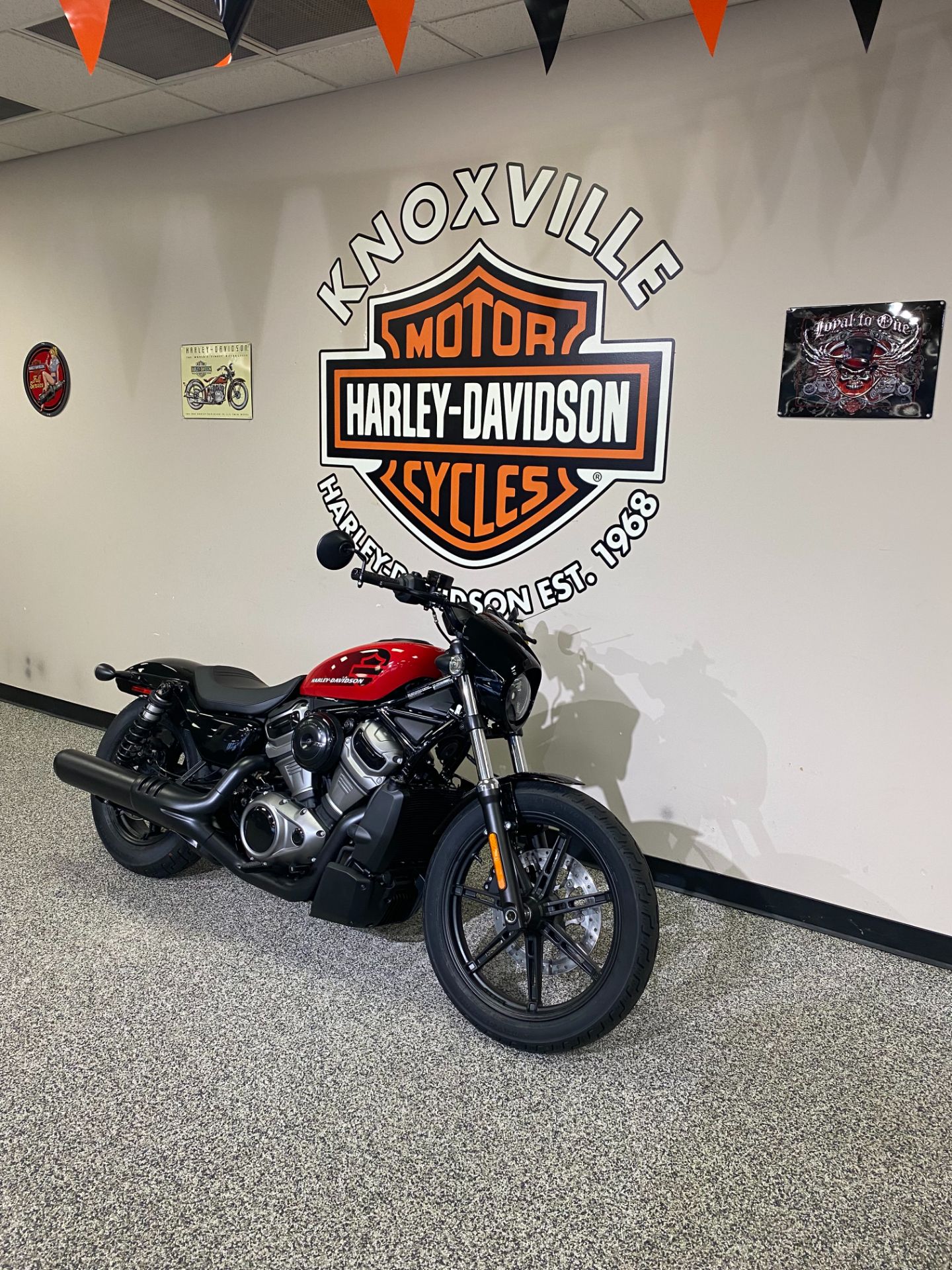 2022 Harley-Davidson Nightster™ in Knoxville, Tennessee - Photo 3