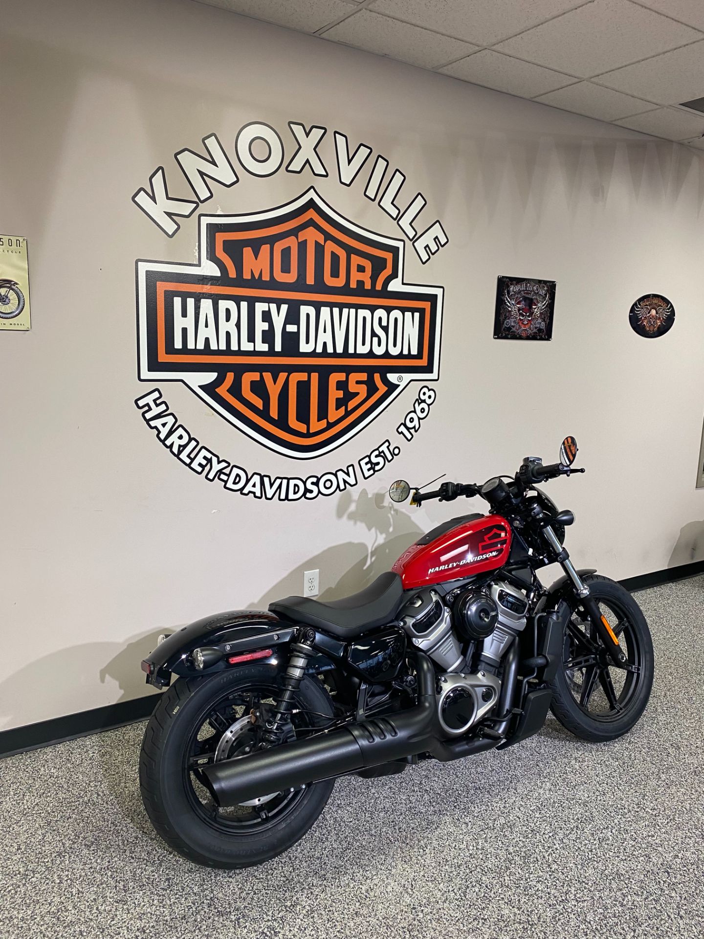 2022 Harley-Davidson Nightster™ in Knoxville, Tennessee - Photo 4