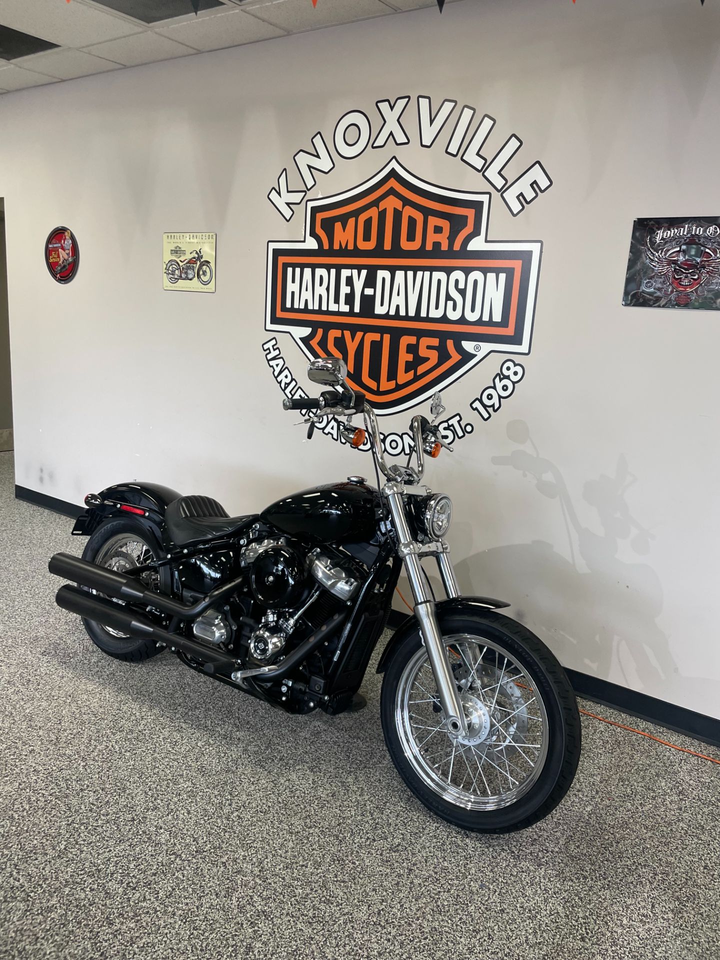 2020 Harley-Davidson SOFTAIL STANDARD in Knoxville, Tennessee - Photo 3