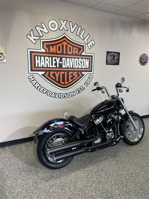 2020 Harley-Davidson SOFTAIL STANDARD in Knoxville, Tennessee - Photo 4