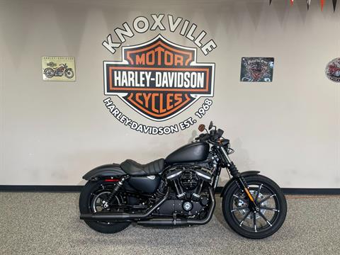 2022 Harley-Davidson IRON 883 in Knoxville, Tennessee - Photo 1