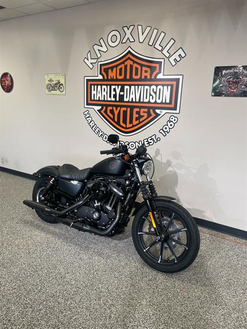 2022 Harley-Davidson IRON 883 in Knoxville, Tennessee - Photo 3