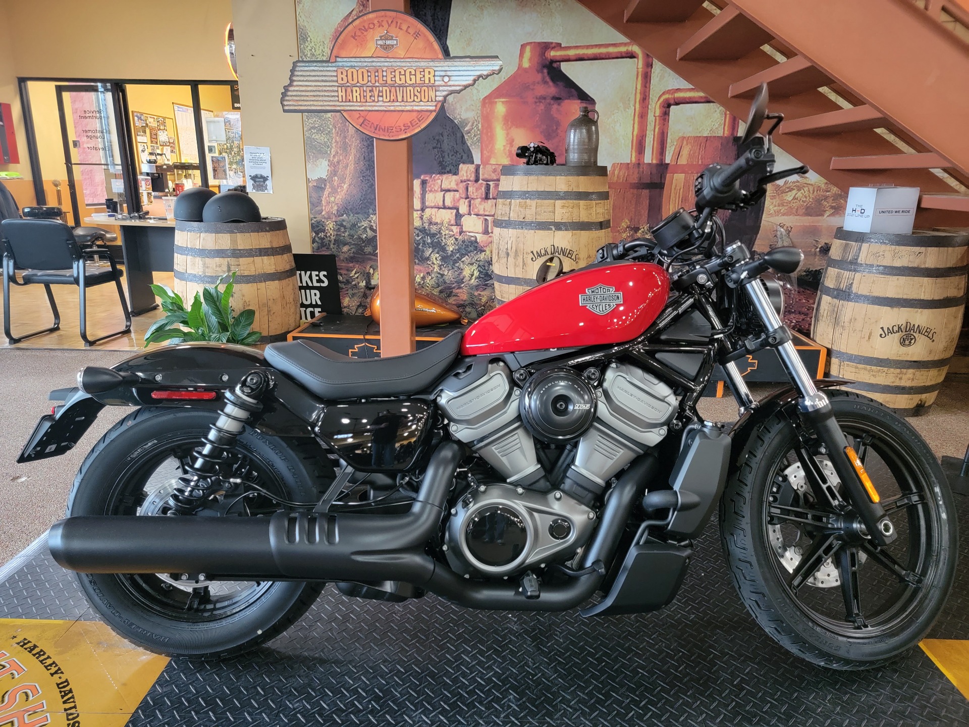 2023 Harley-Davidson Nightster® in Knoxville, Tennessee - Photo 1