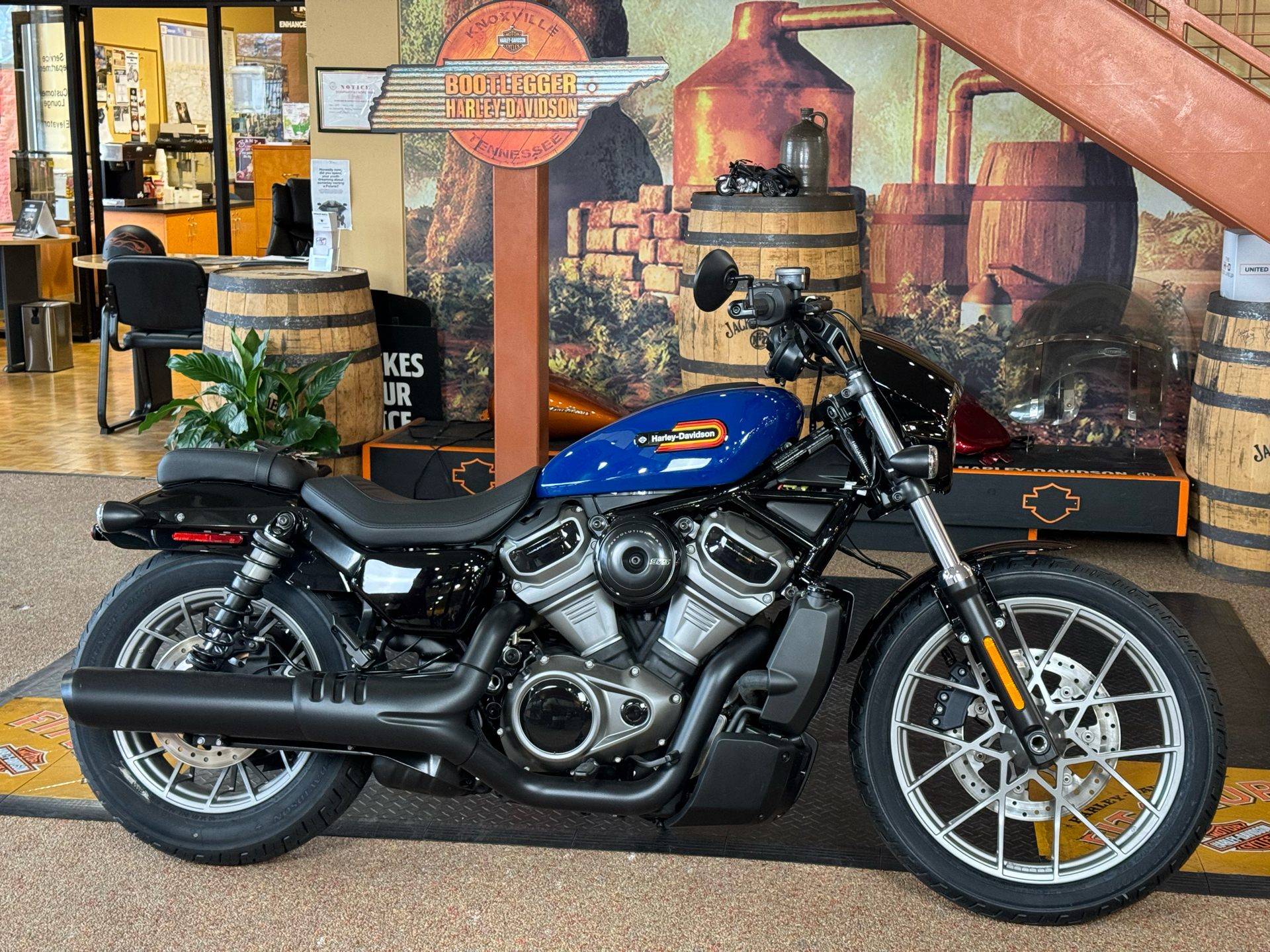 2023 Harley-Davidson Nightster® Special in Knoxville, Tennessee - Photo 1