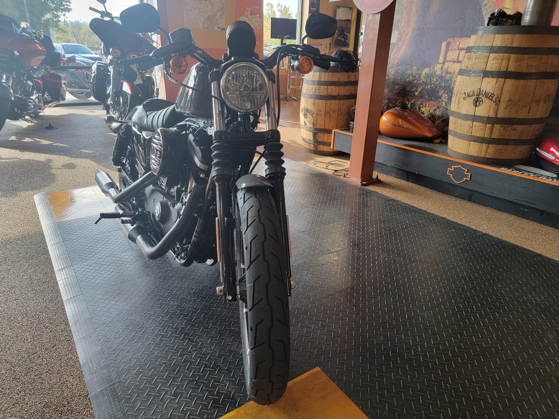 2022 Harley-Davidson Iron 883™ in Knoxville, Tennessee - Photo 2