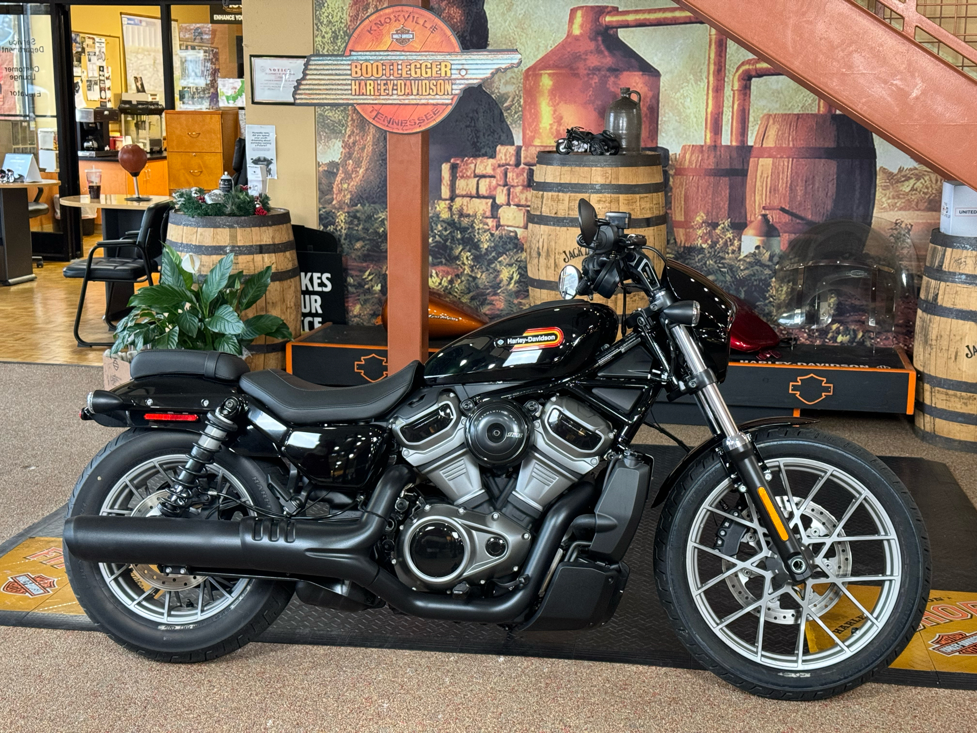 2023 Harley-Davidson Nightster® Special in Knoxville, Tennessee - Photo 1