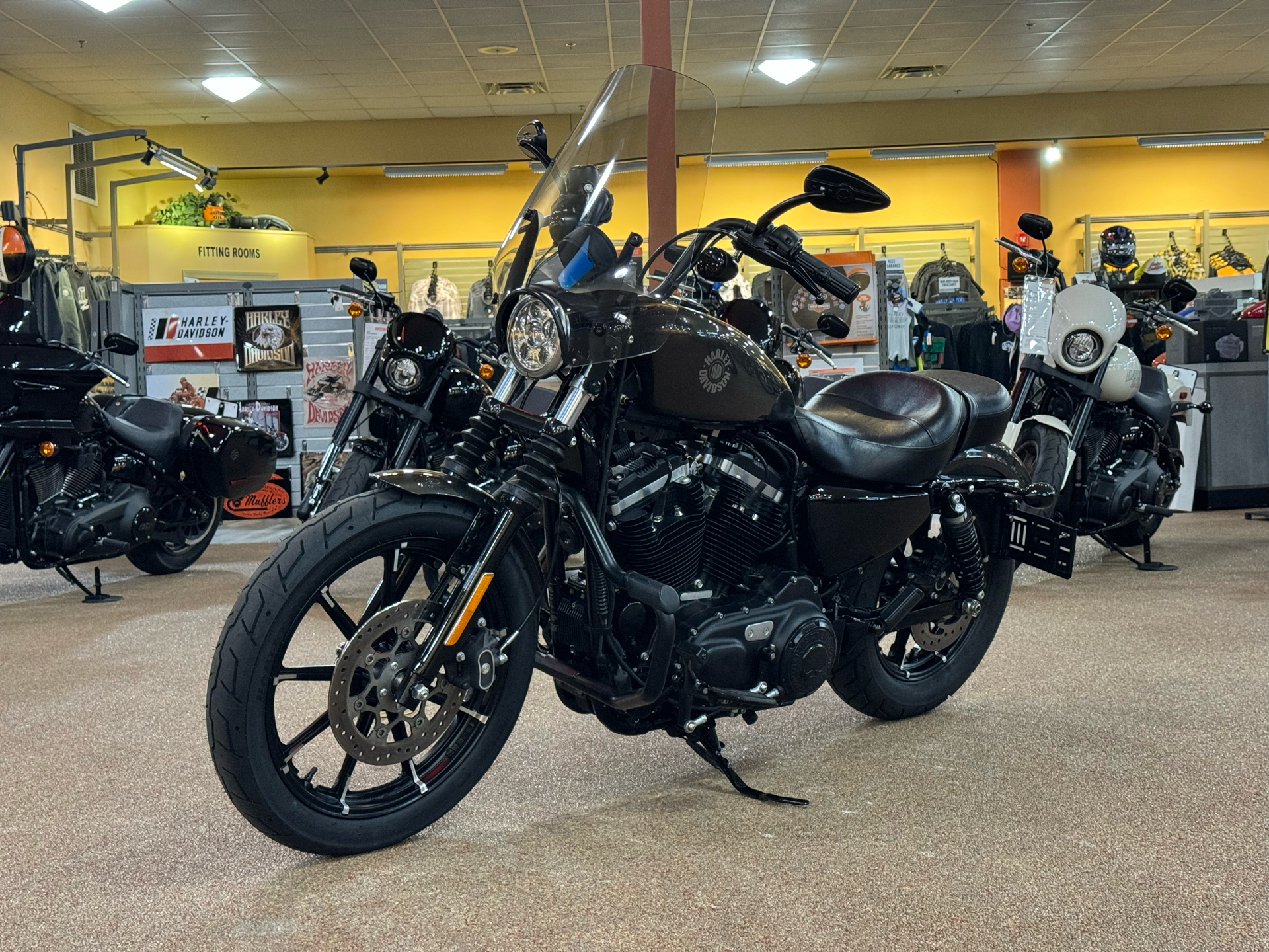 2020 Harley-Davidson Iron 883™ in Knoxville, Tennessee - Photo 15