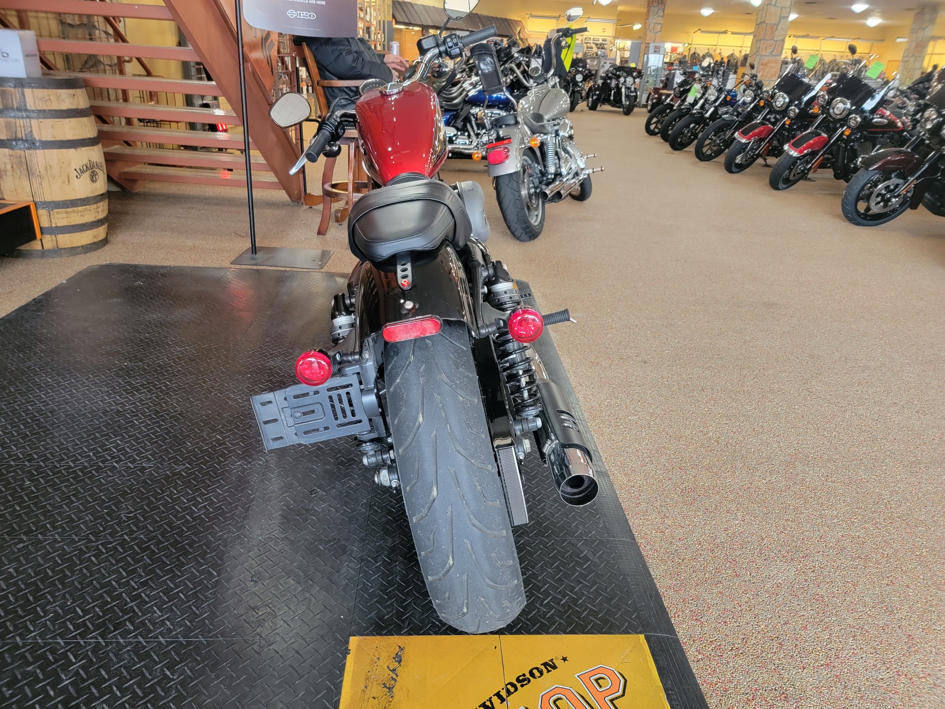 2019 Harley-Davidson Roadster™ in Knoxville, Tennessee - Photo 3